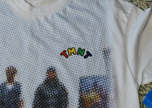 TMNT Song download + Shirt